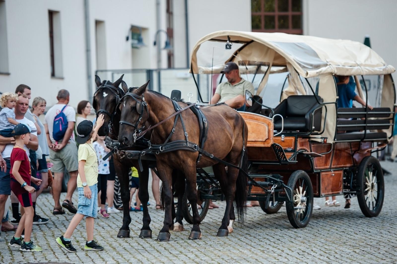 Zdjęcie w galerii na portalu naszraciborz.pl: Wielki finał Wakacji w siodle na Zamku Piastowskim. Tłumy na dziedzińcu [FOTO i WIDEO] wiadomości z regionu