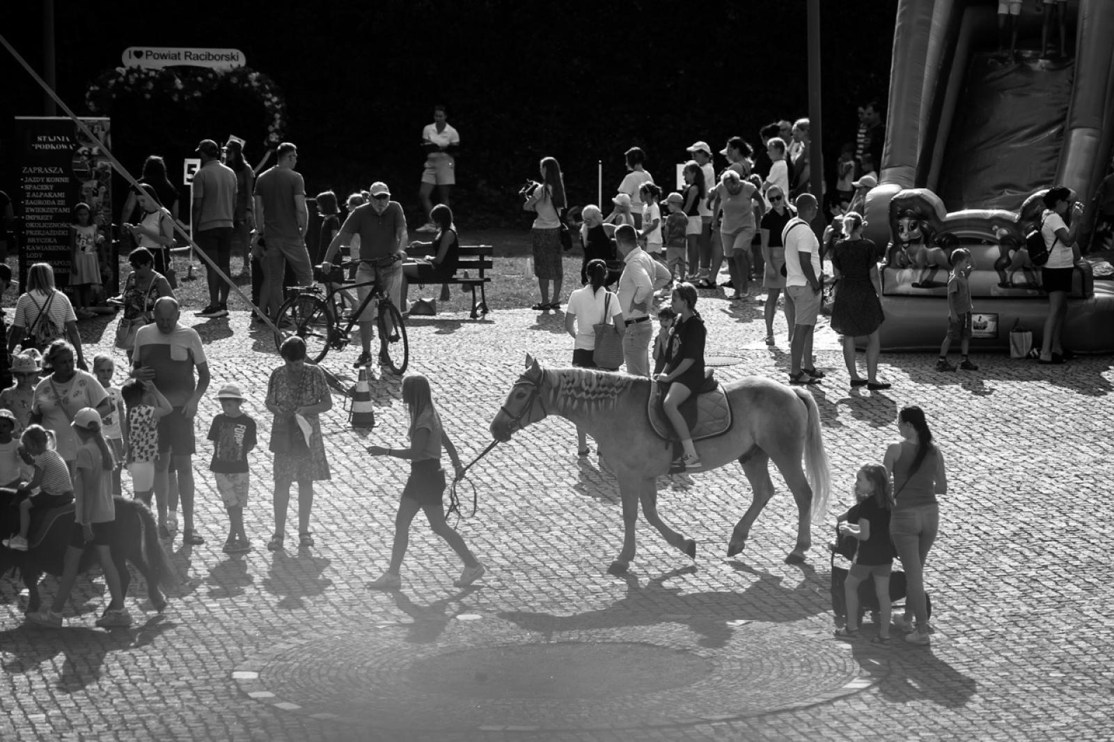 Zdjęcie w galerii na portalu naszraciborz.pl: Wielki finał Wakacji w siodle na Zamku Piastowskim. Tłumy na dziedzińcu [FOTO i WIDEO] wiadomości z regionu