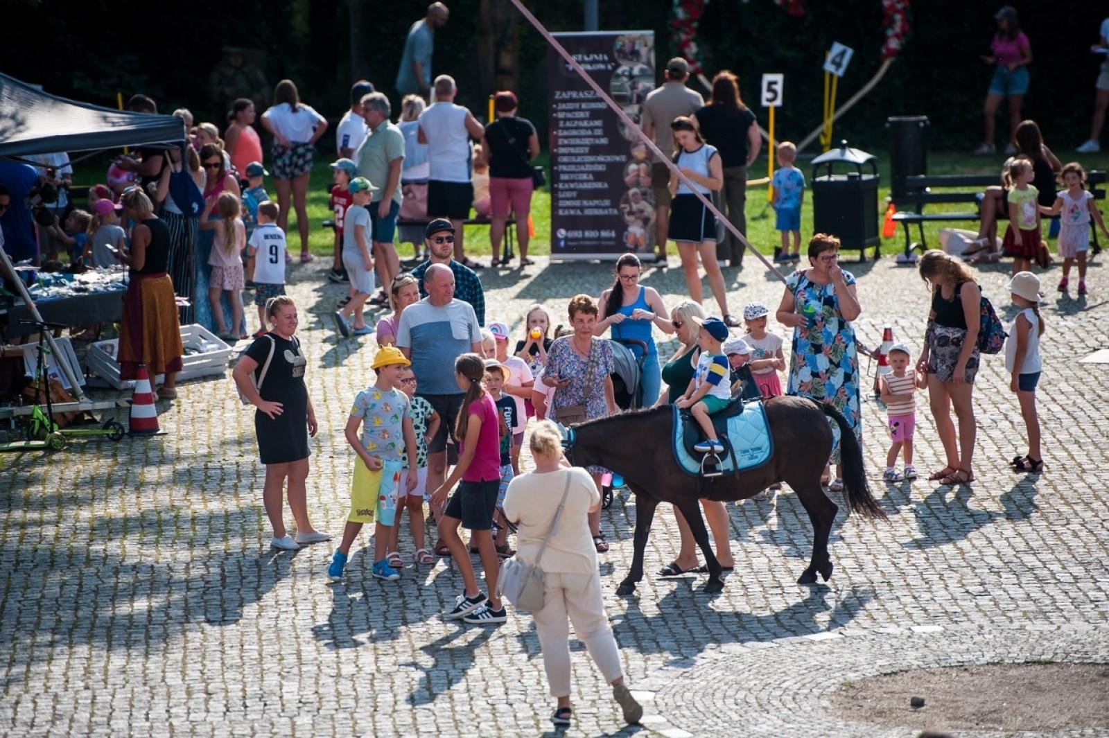 Zdjęcie w galerii na portalu naszraciborz.pl: Wielki finał Wakacji w siodle na Zamku Piastowskim. Tłumy na dziedzińcu [FOTO i WIDEO] wiadomości z regionu