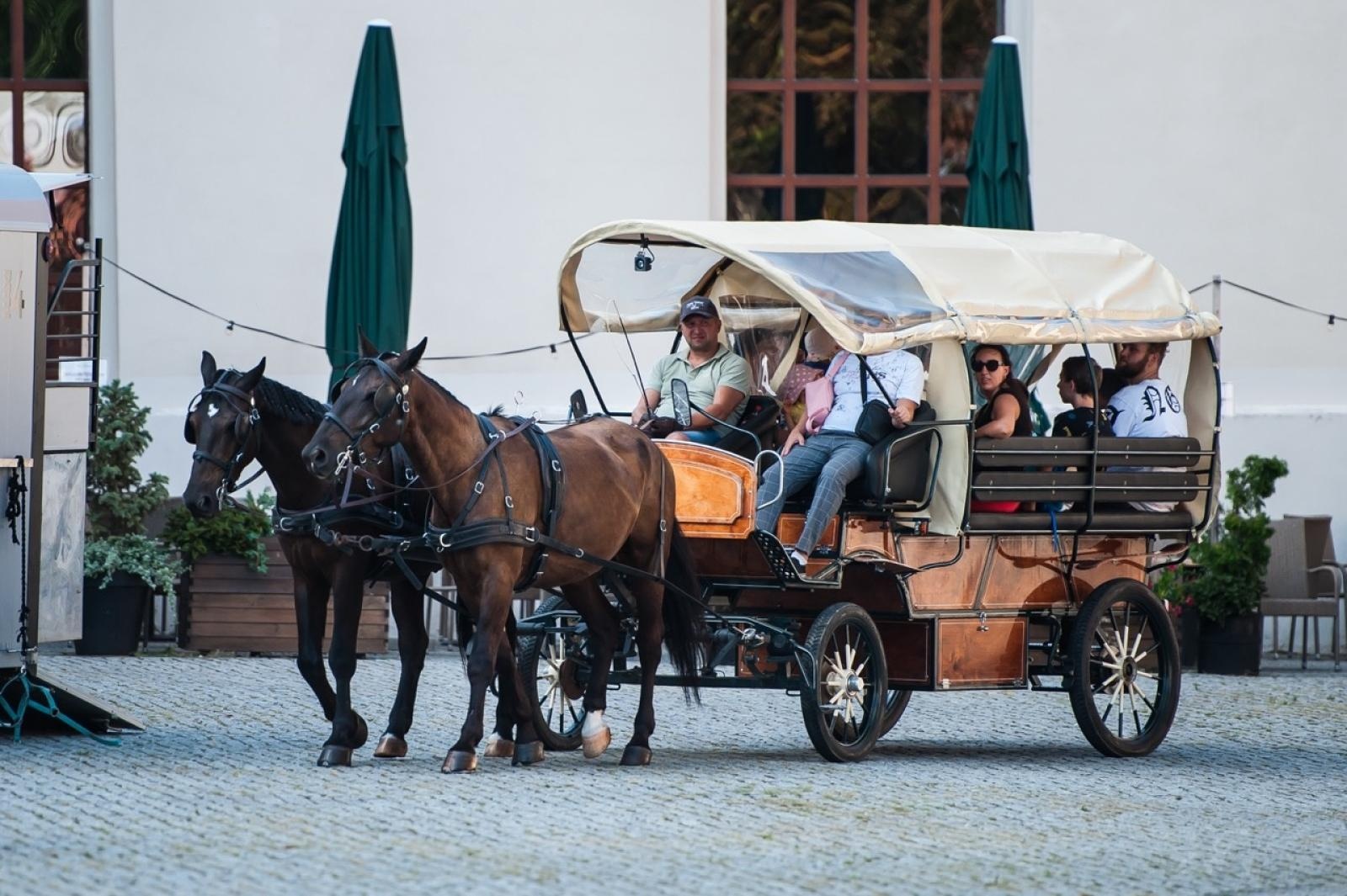 Zdjęcie w galerii na portalu naszraciborz.pl: Wielki finał Wakacji w siodle na Zamku Piastowskim. Tłumy na dziedzińcu [FOTO i WIDEO] wiadomości z regionu