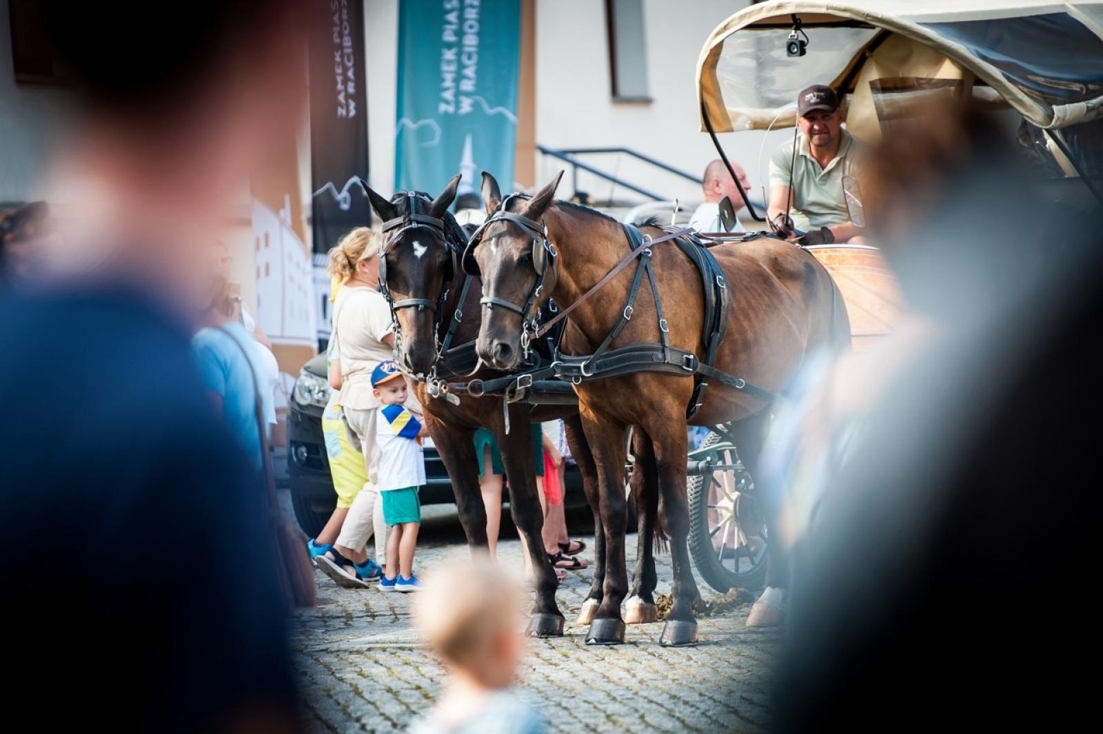 Zdjęcie w galerii na portalu naszraciborz.pl: Wielki finał Wakacji w siodle na Zamku Piastowskim. Tłumy na dziedzińcu [FOTO i WIDEO] wiadomości z regionu