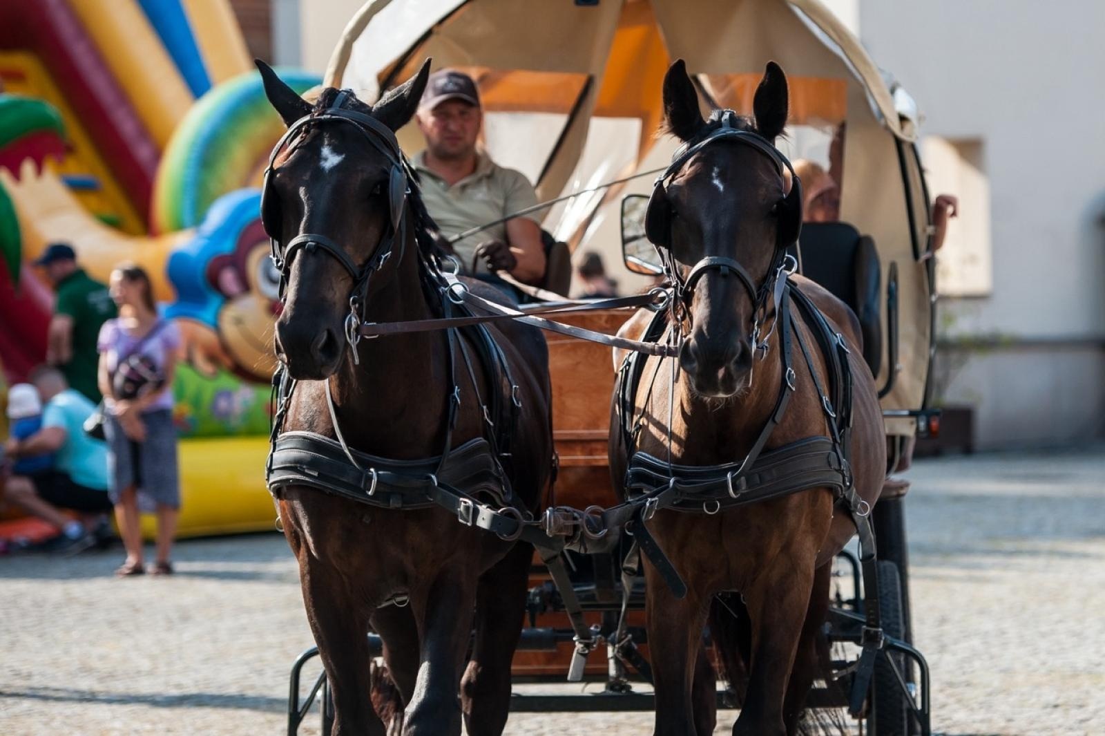 Zdjęcie w galerii na portalu naszraciborz.pl: Wielki finał Wakacji w siodle na Zamku Piastowskim. Tłumy na dziedzińcu [FOTO i WIDEO] wiadomości z regionu