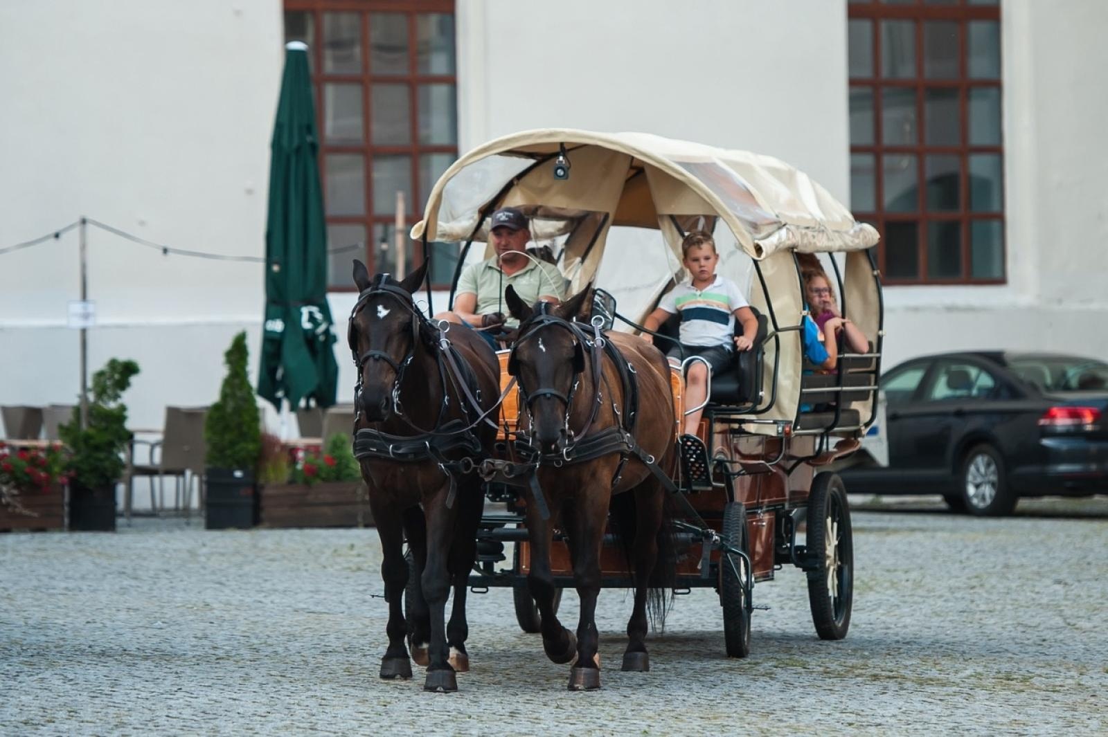 Zdjęcie w galerii na portalu naszraciborz.pl: Wielki finał Wakacji w siodle na Zamku Piastowskim. Tłumy na dziedzińcu [FOTO i WIDEO] wiadomości z regionu