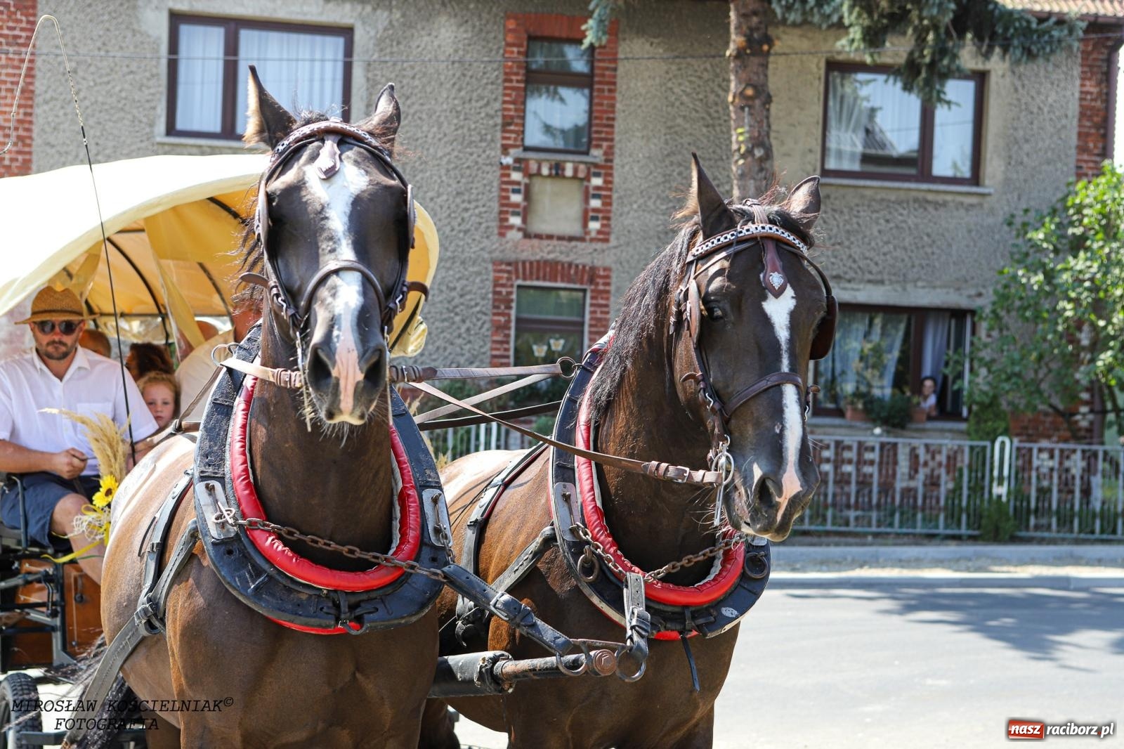 Zdjęcie w galerii na portalu naszraciborz.pl: Piknik rodzinny i dożynki w Cyprzanowie [FOTO i WIDEO] wiadomości z regionu