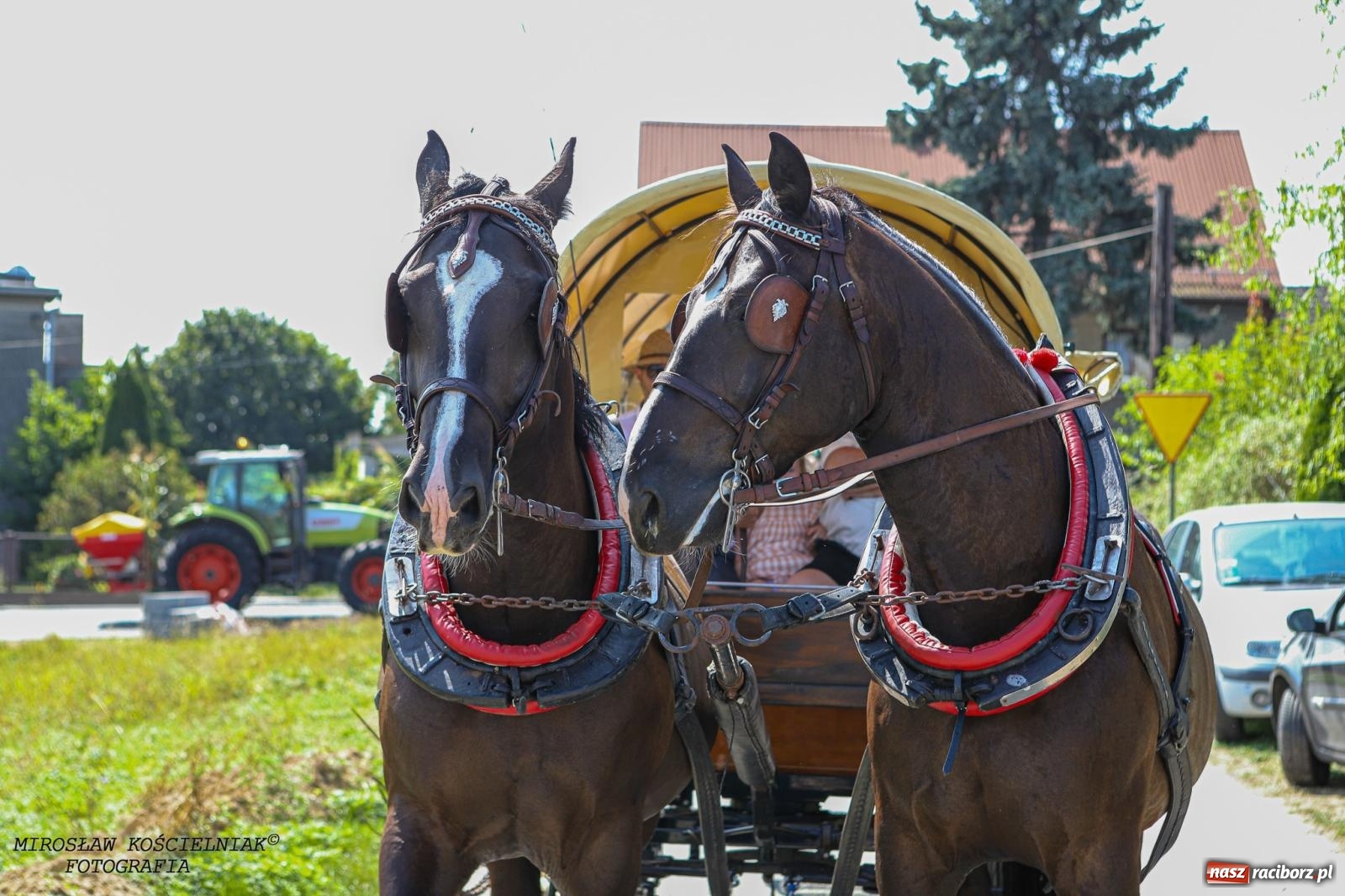 Zdjęcie w galerii na portalu naszraciborz.pl: Piknik rodzinny i dożynki w Cyprzanowie [FOTO i WIDEO] wiadomości z regionu