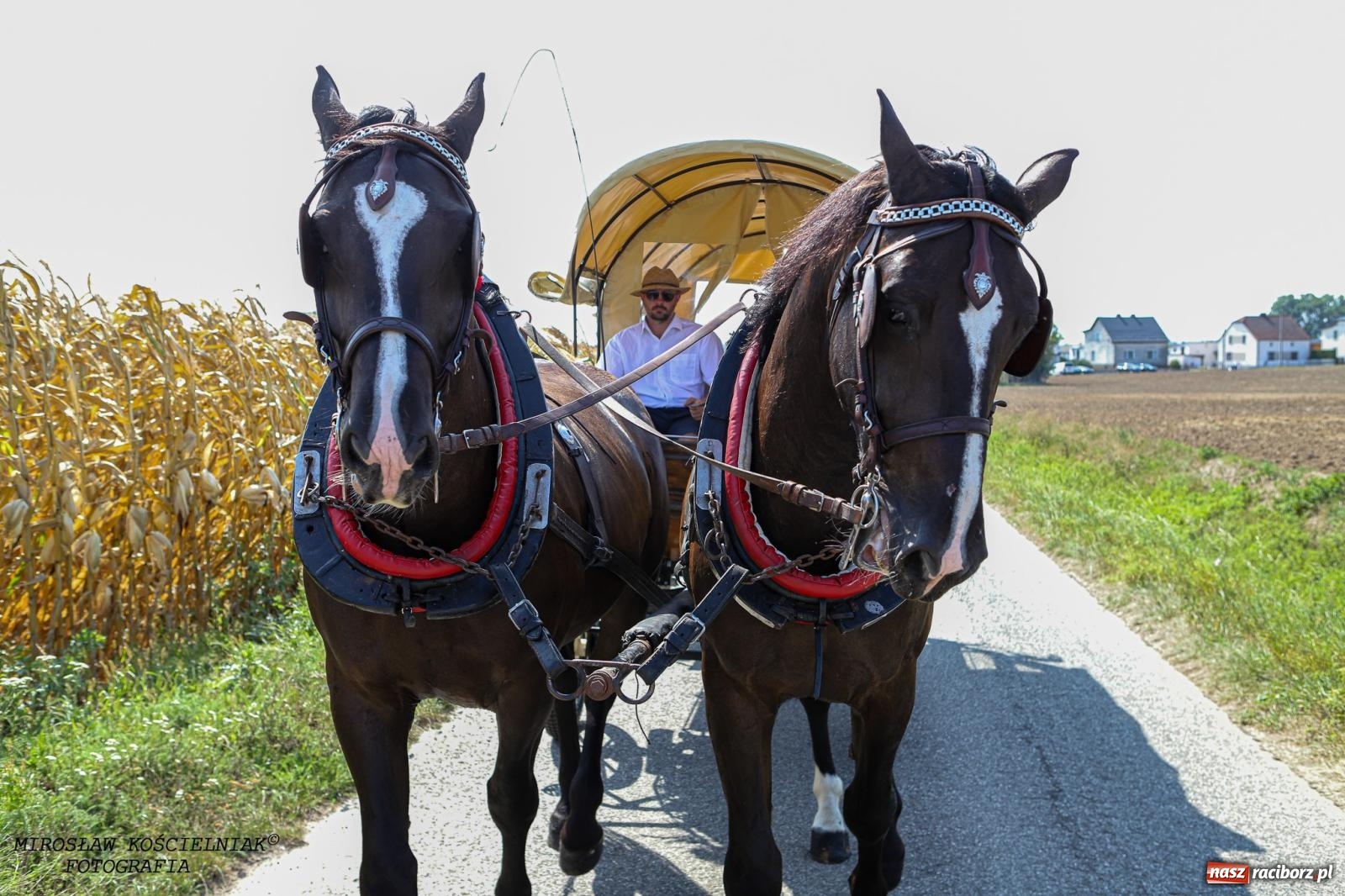 Zdjęcie w galerii na portalu naszraciborz.pl: Piknik rodzinny i dożynki w Cyprzanowie [FOTO i WIDEO] wiadomości z regionu