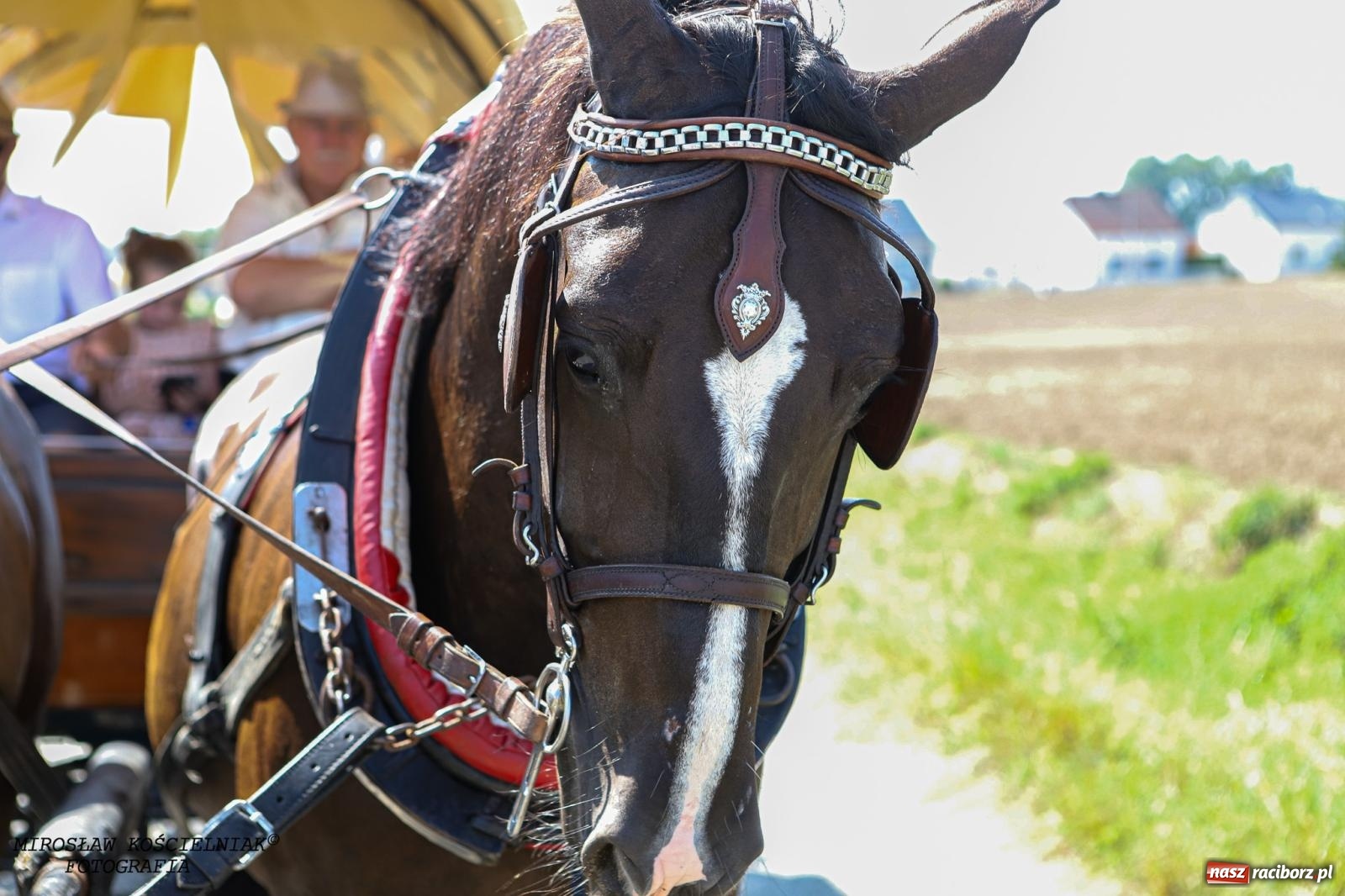 Zdjęcie w galerii na portalu naszraciborz.pl: Piknik rodzinny i dożynki w Cyprzanowie [FOTO i WIDEO] wiadomości z regionu