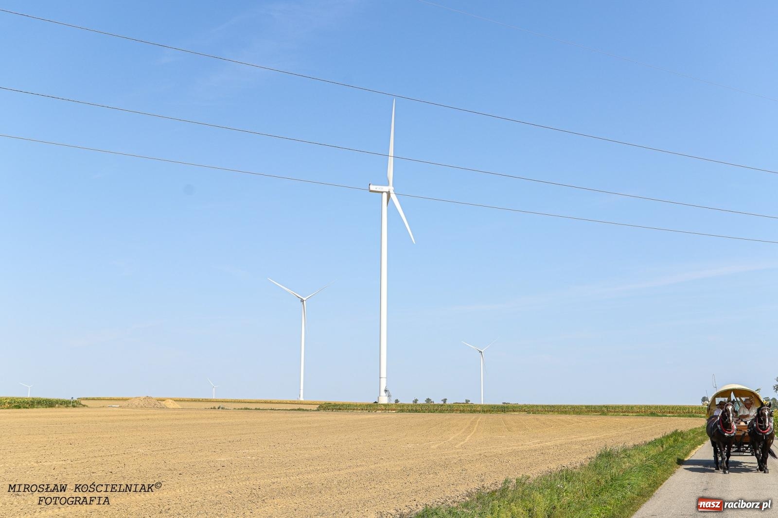 Zdjęcie w galerii na portalu naszraciborz.pl: Piknik rodzinny i dożynki w Cyprzanowie [FOTO i WIDEO] wiadomości z regionu