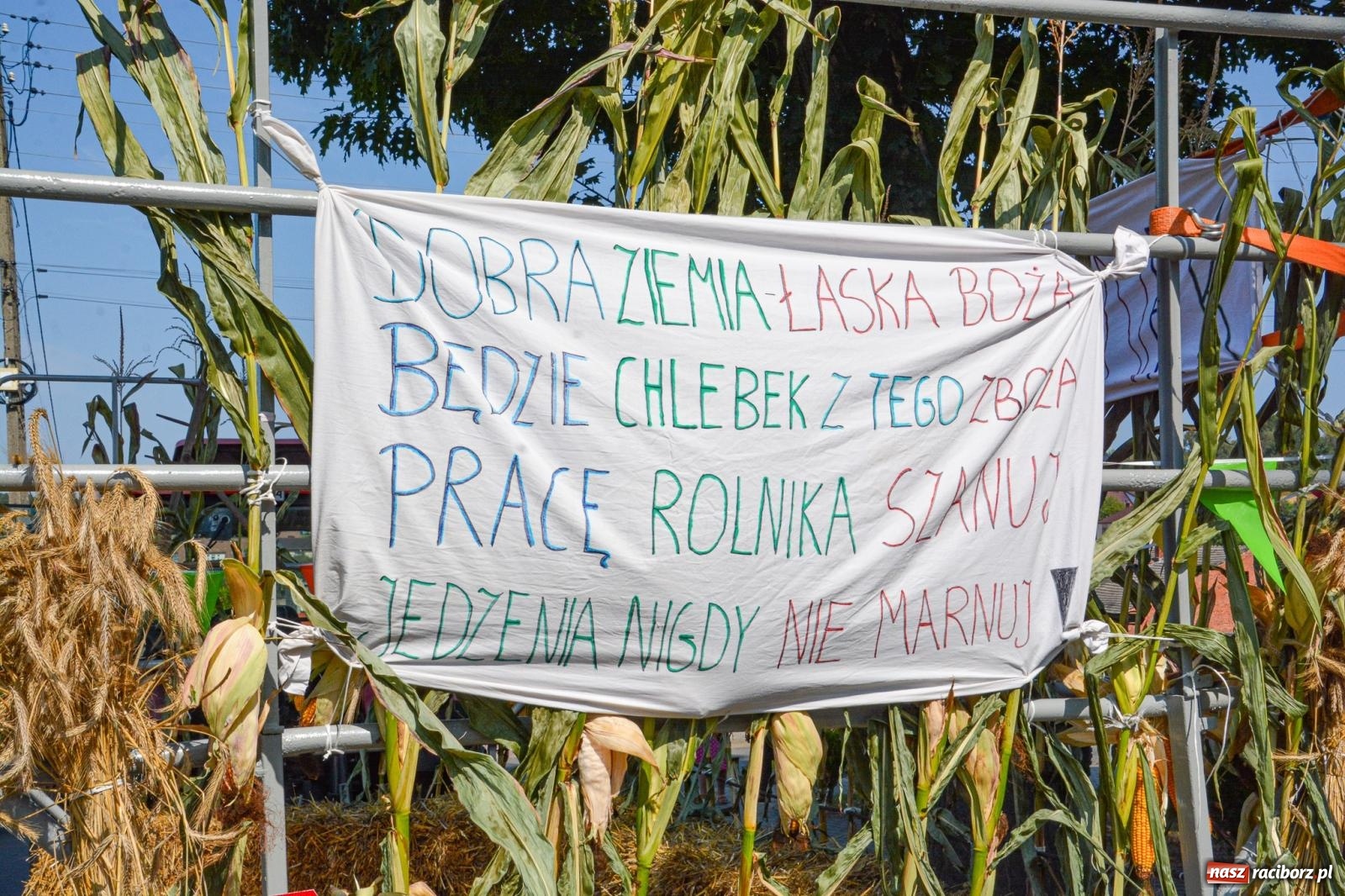 Zdjęcie w galerii na portalu naszraciborz.pl: Miejsko-powiatowe dożynki w Raciborzu-Brzeziu [FOTO i WIDEO] wiadomości z regionu
