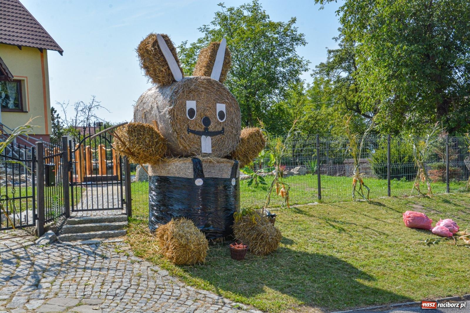 Zdjęcie w galerii na portalu naszraciborz.pl: Miejsko-powiatowe dożynki w Raciborzu-Brzeziu [FOTO i WIDEO] wiadomości z regionu