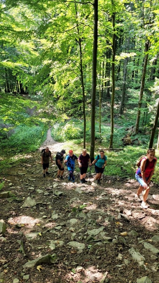 Zdjęcie w galerii na portalu naszraciborz.pl: Lackowa i Radziejowa - wędrowcy z Raciborza wrócili z górskiego szlaku wiadomości z regionu