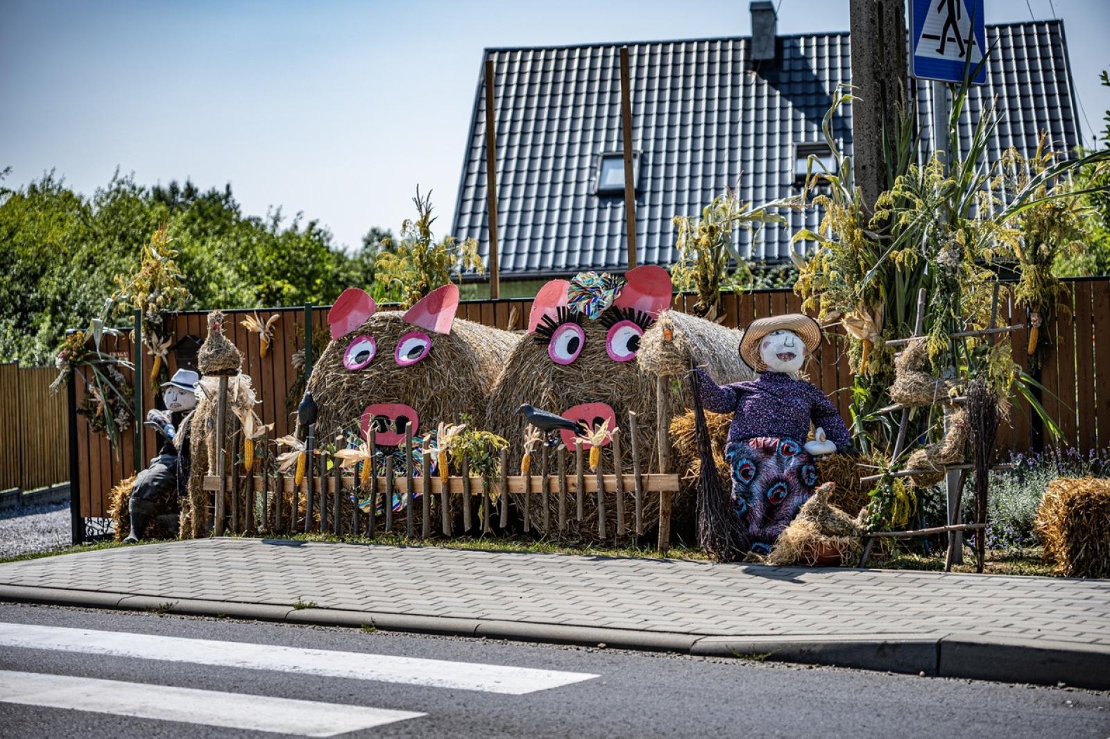 Zdjęcie w galerii na portalu naszraciborz.pl: Raciborzanie podziękowali za plony na dożynkach powiatowo-gminnych w Brzeziu - relacja na bis! [FOTO i WIDEO] wiadomości z regionu