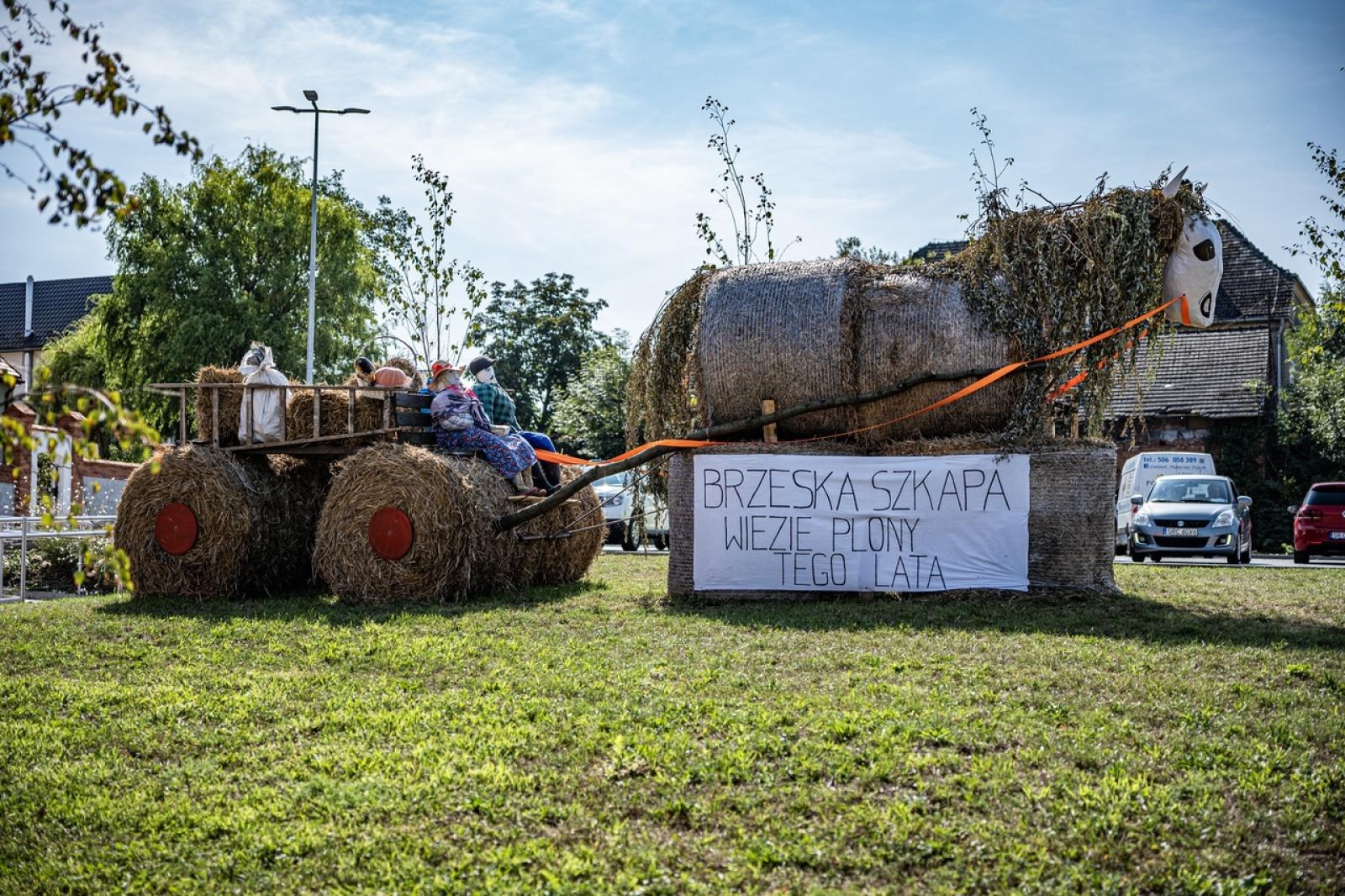 Zdjęcie w galerii na portalu naszraciborz.pl: Raciborzanie podziękowali za plony na dożynkach powiatowo-gminnych w Brzeziu - relacja na bis! [FOTO i WIDEO] wiadomości z regionu