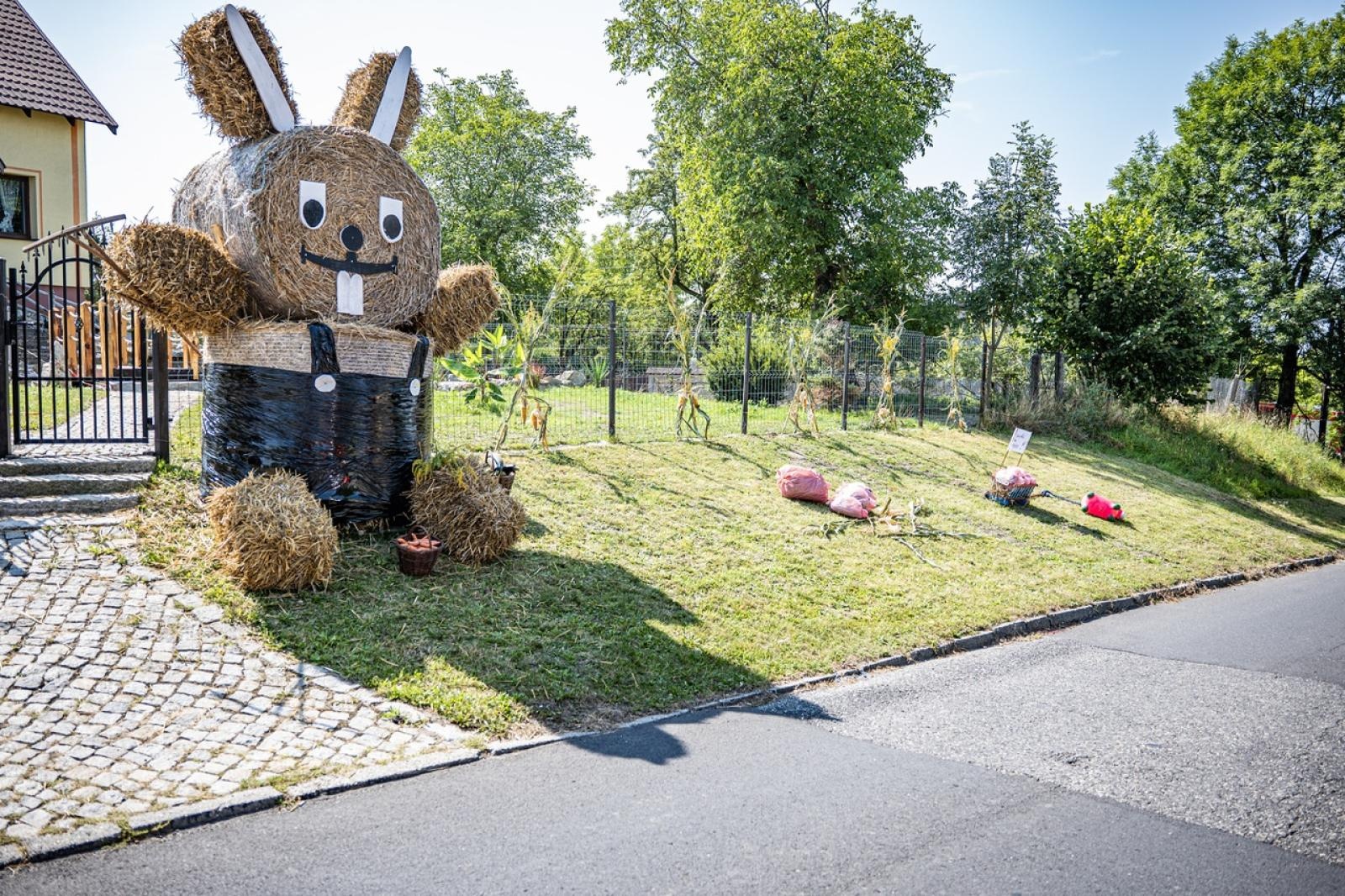 Zdjęcie w galerii na portalu naszraciborz.pl: Raciborzanie podziękowali za plony na dożynkach powiatowo-gminnych w Brzeziu - relacja na bis! [FOTO i WIDEO] wiadomości z regionu