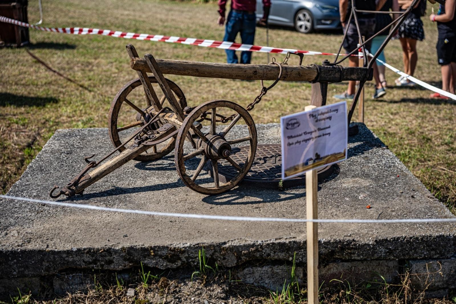 Zdjęcie w galerii na portalu naszraciborz.pl: Raciborzanie podziękowali za plony na dożynkach powiatowo-gminnych w Brzeziu - relacja na bis! [FOTO i WIDEO] wiadomości z regionu