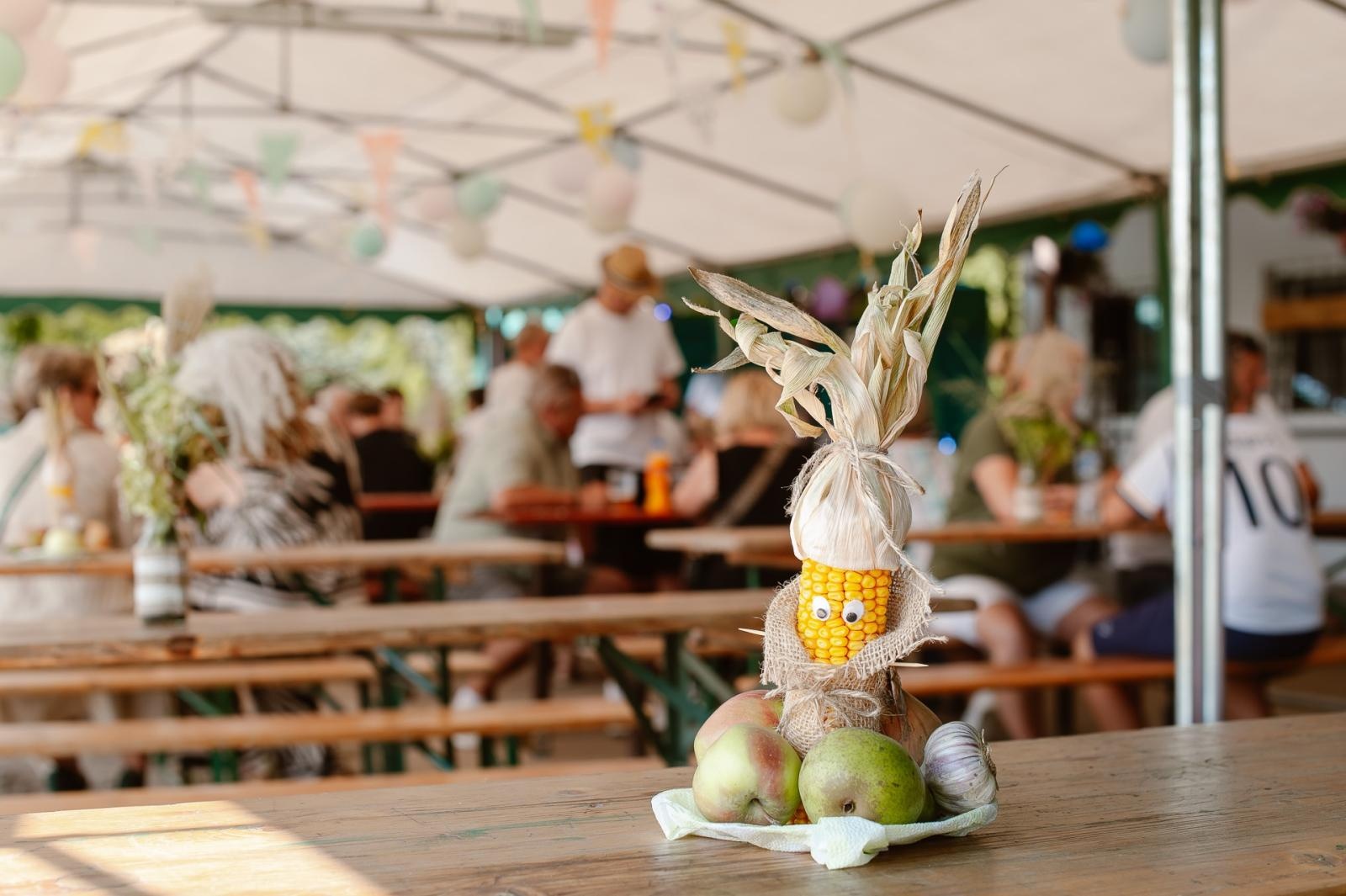 Zdjęcie w galerii na portalu naszraciborz.pl: Dożynki w Cyprzanowie i Krowiarkach na bis! [FOTO i WIDEO] wiadomości z regionu