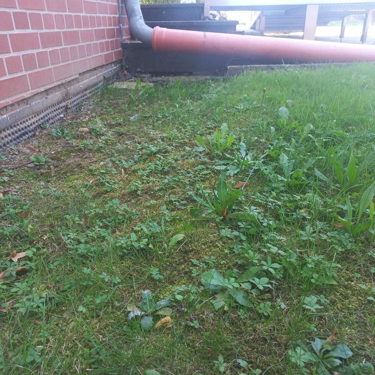 Zdjęcie w galerii na portalu naszraciborz.pl: Dotacja na remont opaski wokół kościoła pw. św. Józefa na Ocicach. Radni dali zgodę wiadomości z regionu