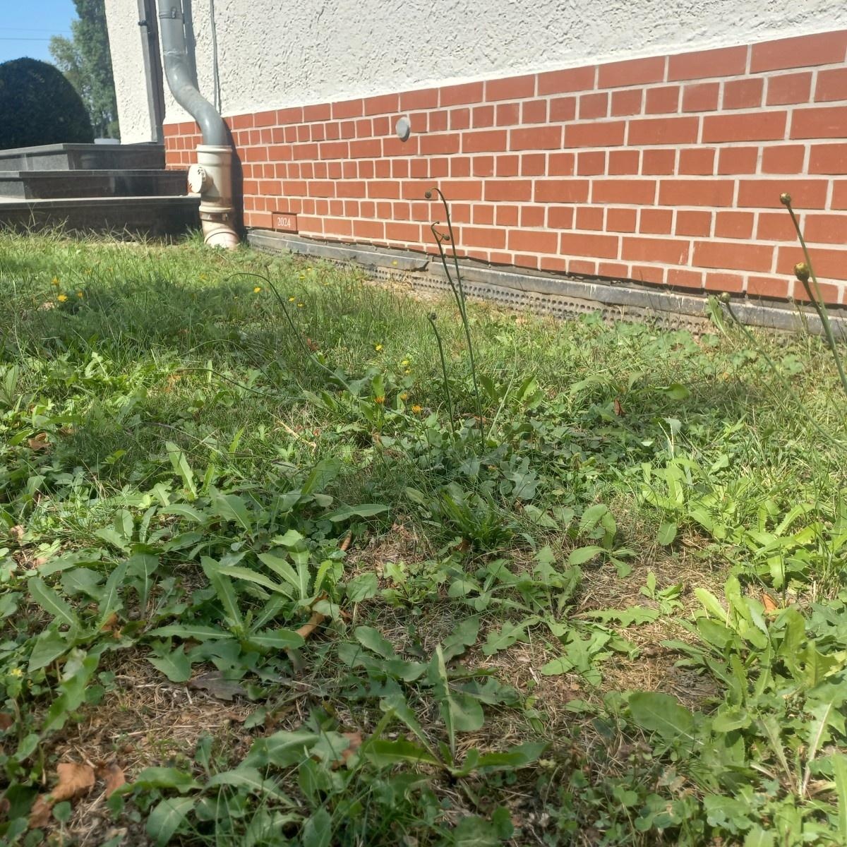 Zdjęcie w galerii na portalu naszraciborz.pl: Dotacja na remont opaski wokół kościoła pw. św. Józefa na Ocicach. Radni dali zgodę wiadomości z regionu