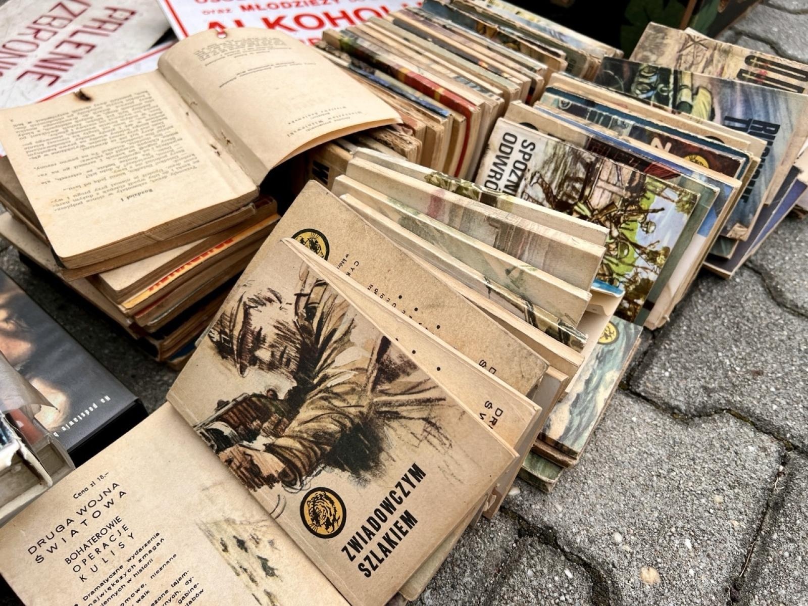 Zdjęcie w galerii na portalu naszraciborz.pl: Ostatni letni targ staroci i koński w Pietrowicach Wielkich przyciągnął sporo kolekcjonerów i miłośników retro wiadomości z regionu