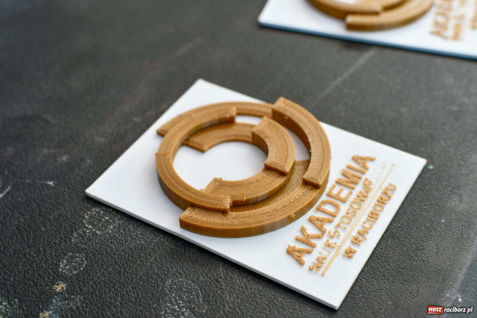 Zdjęcie w galerii na portalu naszraciborz.pl: Nauka zagościła nad Odrą. Trzecia Edycja Festiwalu Odkrywców w Raciborzu wiadomości z regionu