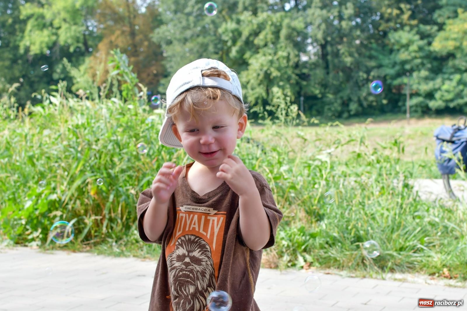Zdjęcie w galerii na portalu naszraciborz.pl: Nauka zagościła nad Odrą. Trzecia Edycja Festiwalu Odkrywców w Raciborzu wiadomości z regionu