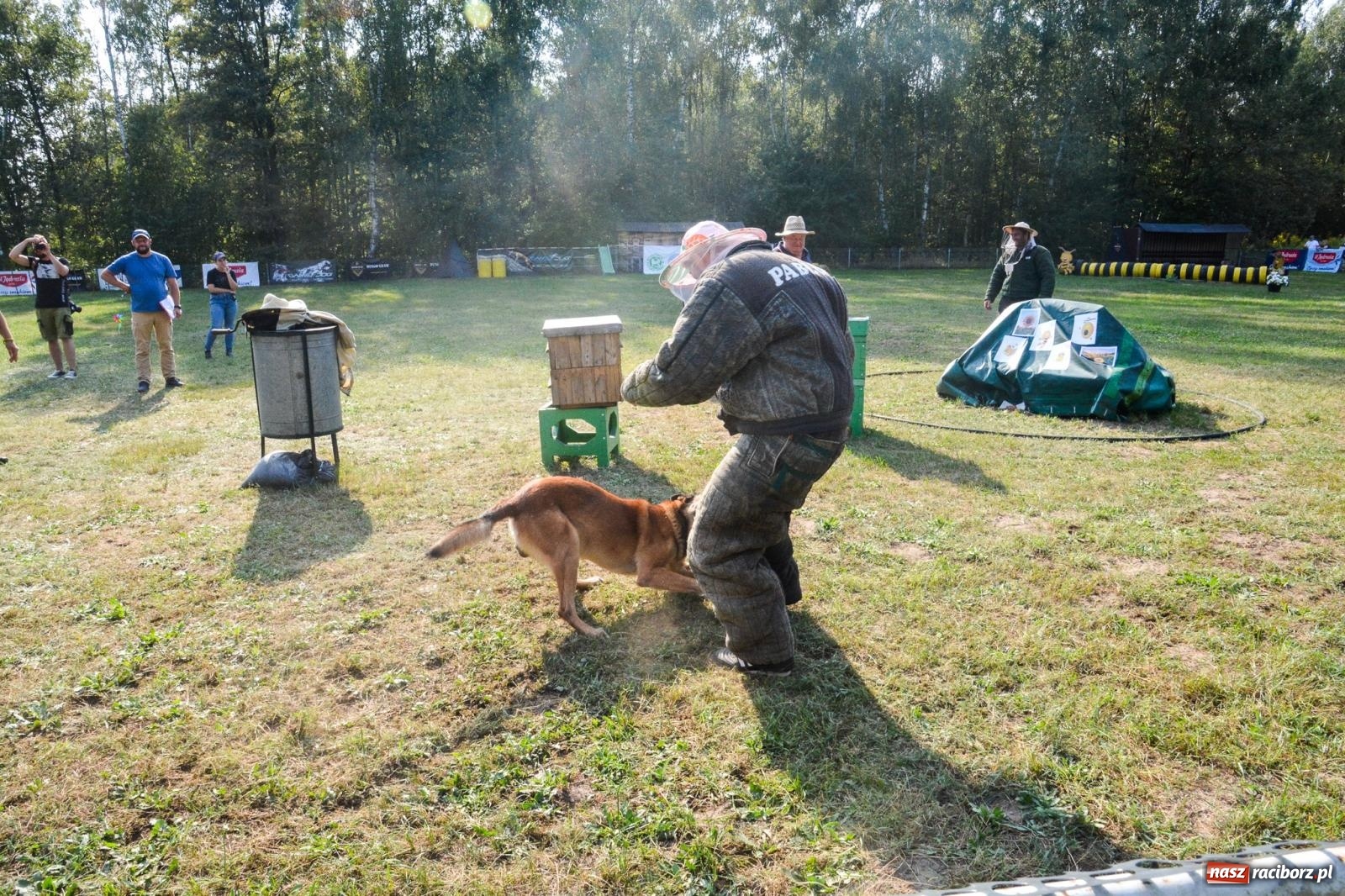 Zdjęcie w galerii na portalu naszraciborz.pl: Puchar Narodów Mondioringu 2024: Emocjonujące starty w Babicach! wiadomości z regionu