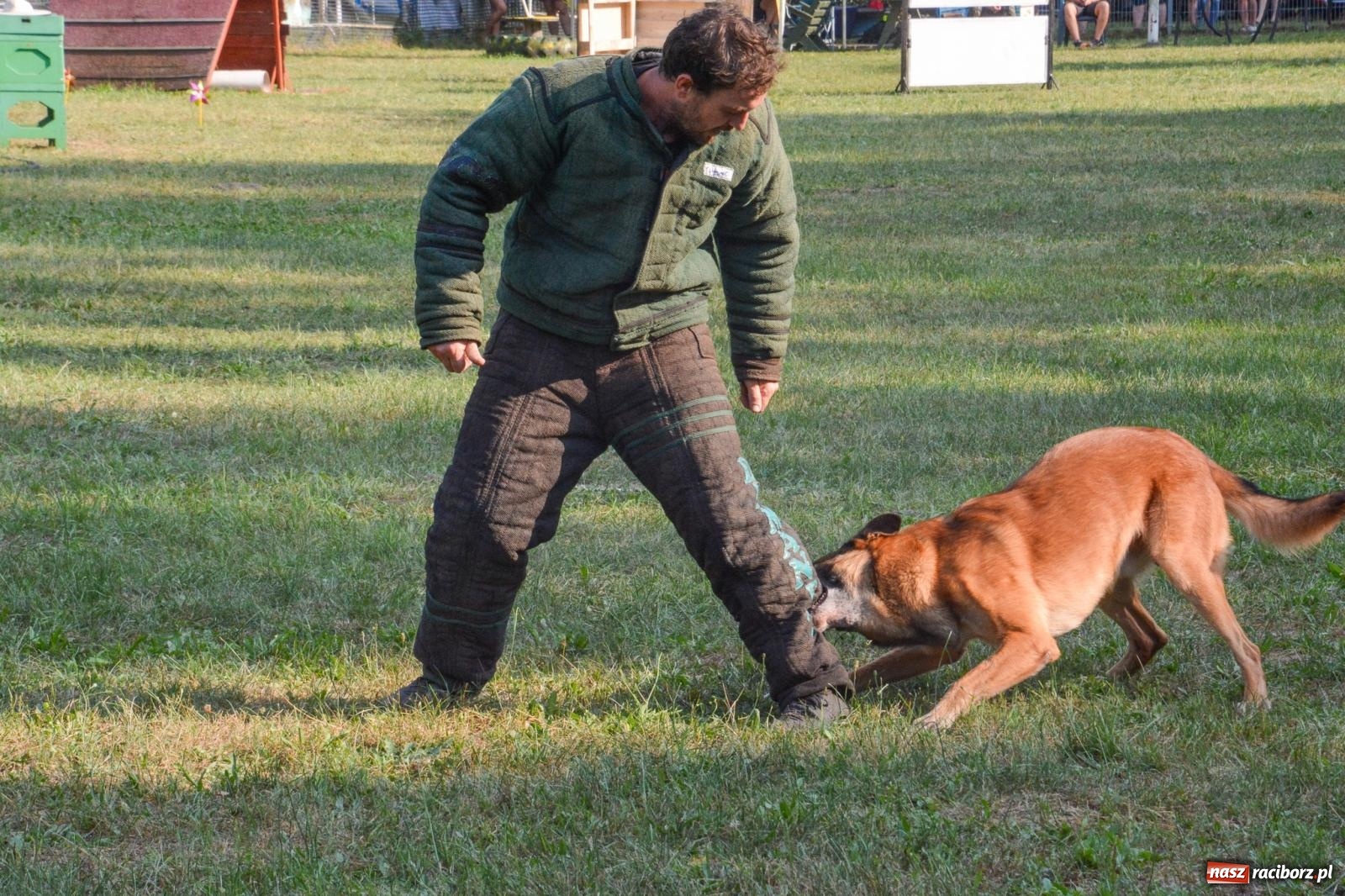 Zdjęcie w galerii na portalu naszraciborz.pl: Puchar Narodów Mondioringu 2024: Emocjonujące starty w Babicach! wiadomości z regionu