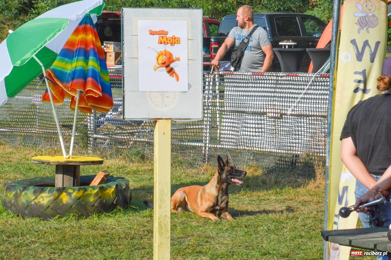 Zdjęcie w galerii na portalu naszraciborz.pl: Puchar Narodów Mondioringu 2024: Emocjonujące starty w Babicach! wiadomości z regionu