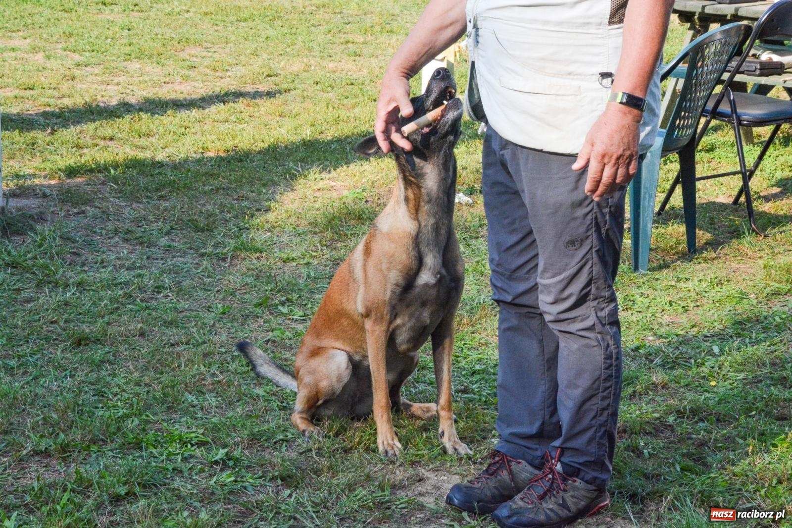 Zdjęcie w galerii na portalu naszraciborz.pl: Puchar Narodów Mondioringu 2024: Emocjonujące starty w Babicach! wiadomości z regionu