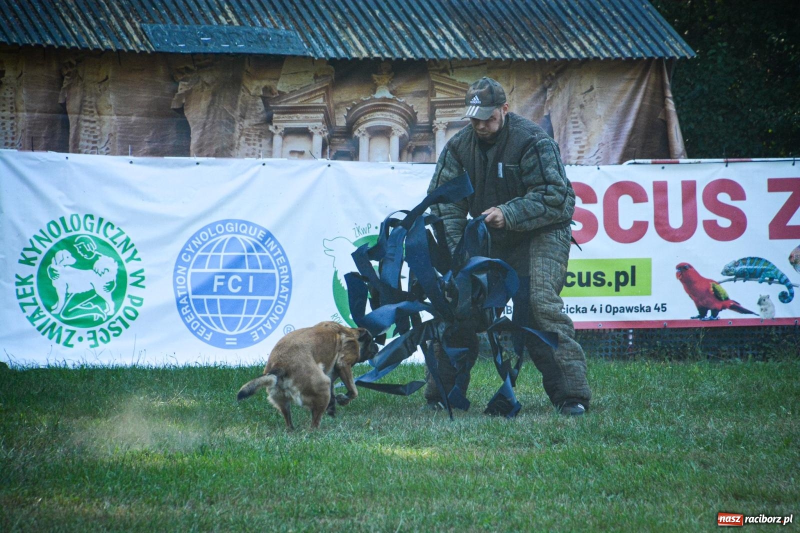 Zdjęcie w galerii na portalu naszraciborz.pl: Puchar Narodów Mondioringu 2024: Emocjonujące starty w Babicach! wiadomości z regionu