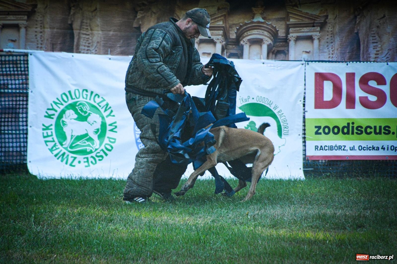 Zdjęcie w galerii na portalu naszraciborz.pl: Puchar Narodów Mondioringu 2024: Emocjonujące starty w Babicach! wiadomości z regionu