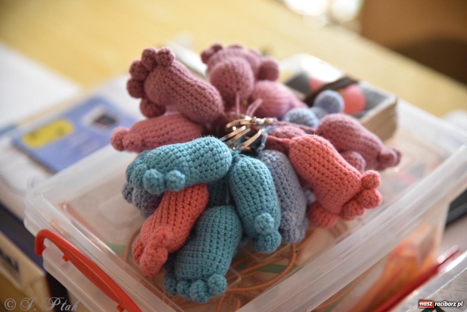 Zdjęcie w galerii na portalu naszraciborz.pl: XXXIII Raciborski Festiwal Spotkałem Pana [FOTO i WIDEO] wiadomości z regionu