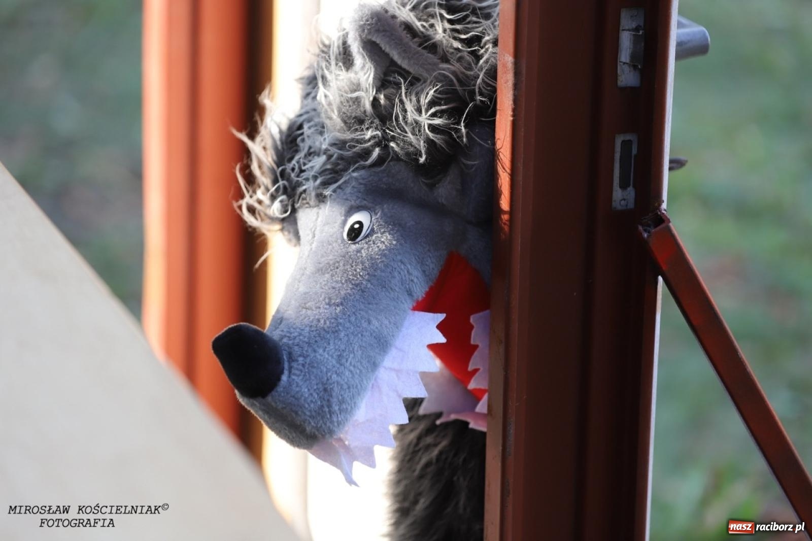 Zdjęcie w galerii na portalu naszraciborz.pl: Kolorowa podróż do świata Pani Kleksowej – relacja z przedstawienia w Ogrodzie Strzechy wiadomości z regionu