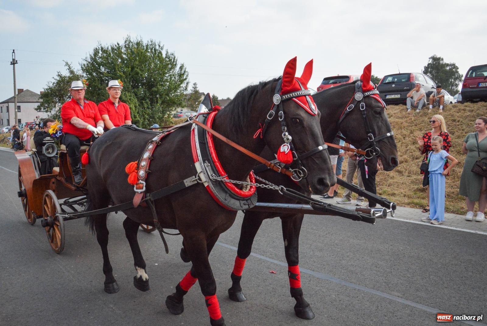 Zdjęcie w galerii na portalu naszraciborz.pl: Dożynki w Gminie Krzyżanowice: Bolesław gospodarzem tegorocznych uroczystości [FOTO i WIDEO] wiadomości z regionu