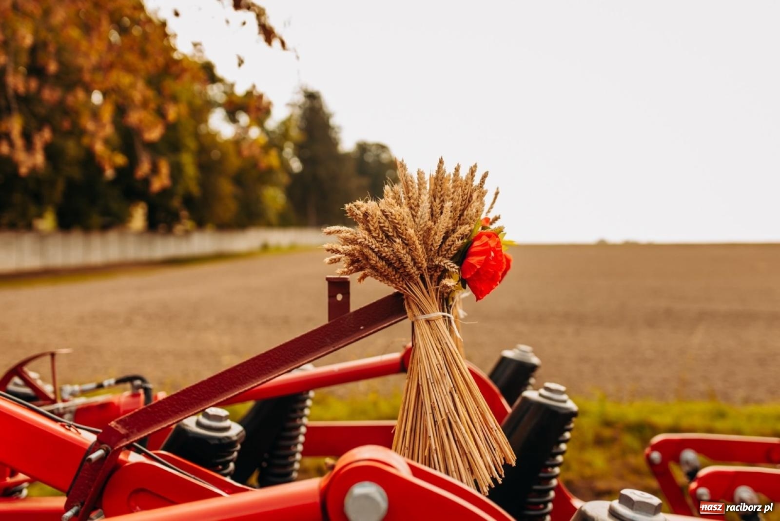 Zdjęcie w galerii na portalu naszraciborz.pl: Gmina Rudnik świętuje w Modzurowie: Przez wieś przejechał korowód maszyn wiadomości z regionu