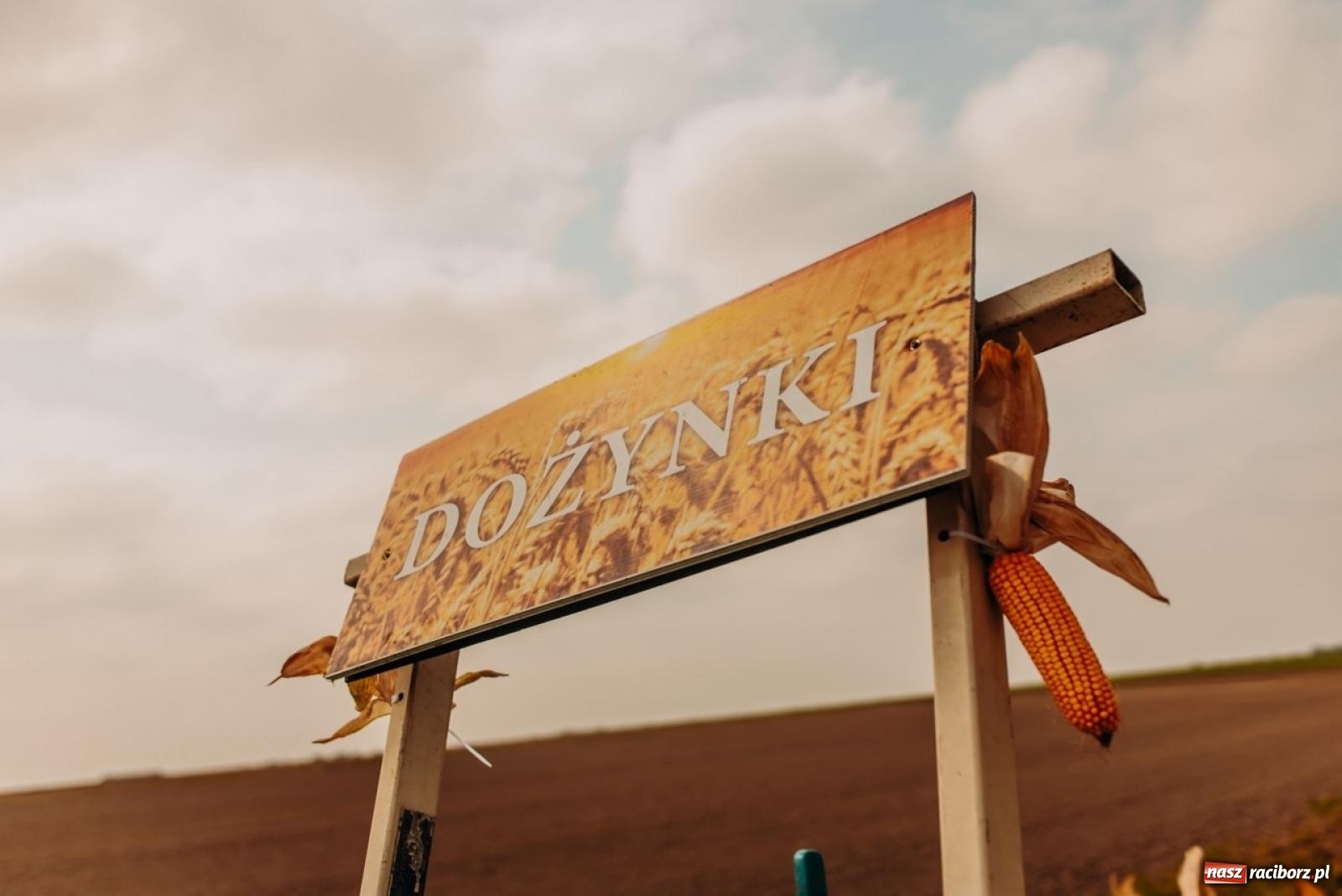 Zdjęcie w galerii na portalu naszraciborz.pl: Gmina Rudnik świętuje w Modzurowie: Przez wieś przejechał korowód maszyn wiadomości z regionu