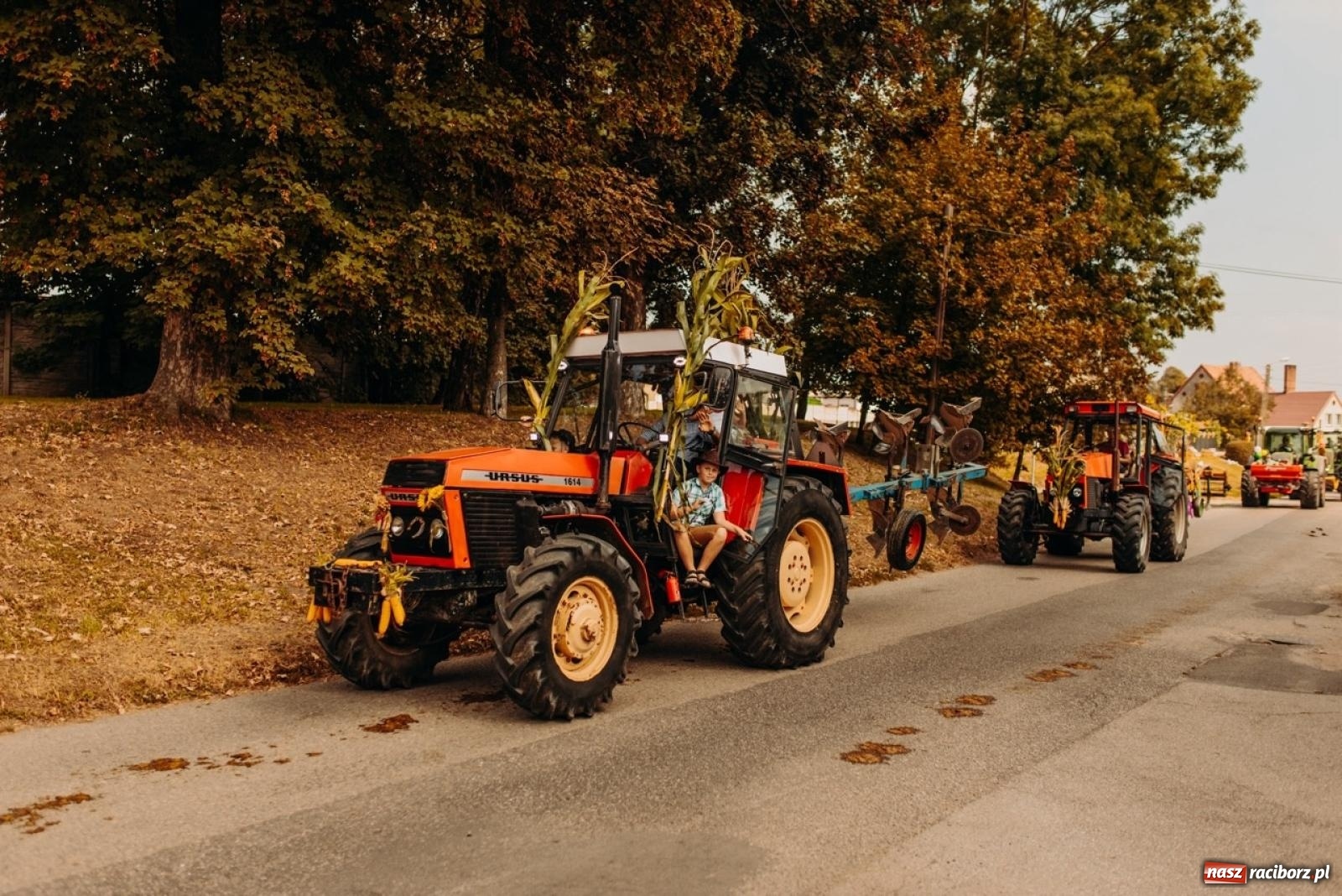 Zdjęcie w galerii na portalu naszraciborz.pl: Gmina Rudnik świętuje w Modzurowie: Przez wieś przejechał korowód maszyn wiadomości z regionu