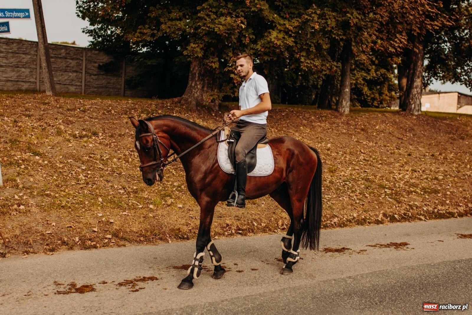 Zdjęcie w galerii na portalu naszraciborz.pl: Gmina Rudnik świętuje w Modzurowie: Przez wieś przejechał korowód maszyn wiadomości z regionu