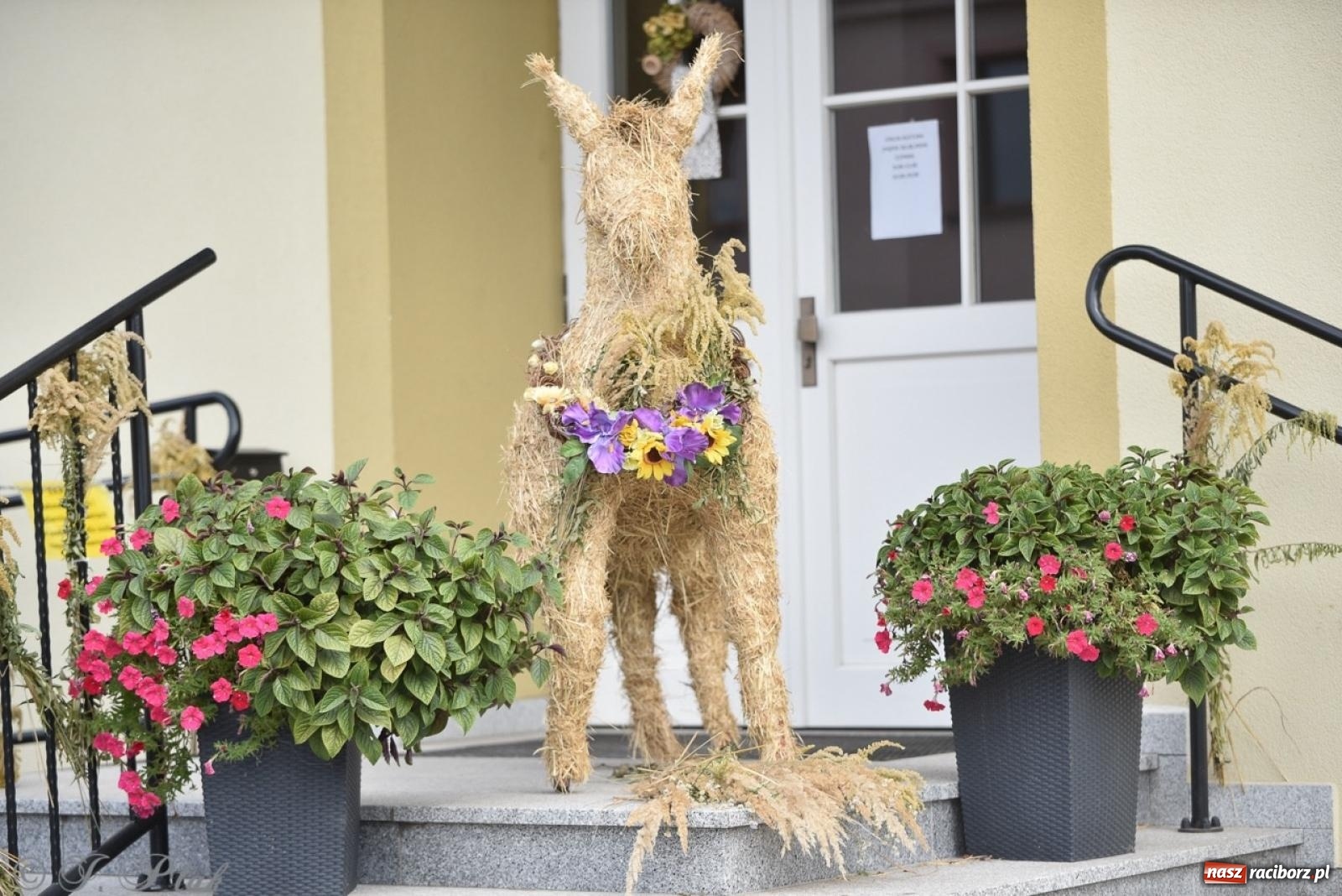 Zdjęcie w galerii na portalu naszraciborz.pl: Pietrowice Wielkie dziękowały za plony [FOTO i WIDEO] wiadomości z regionu