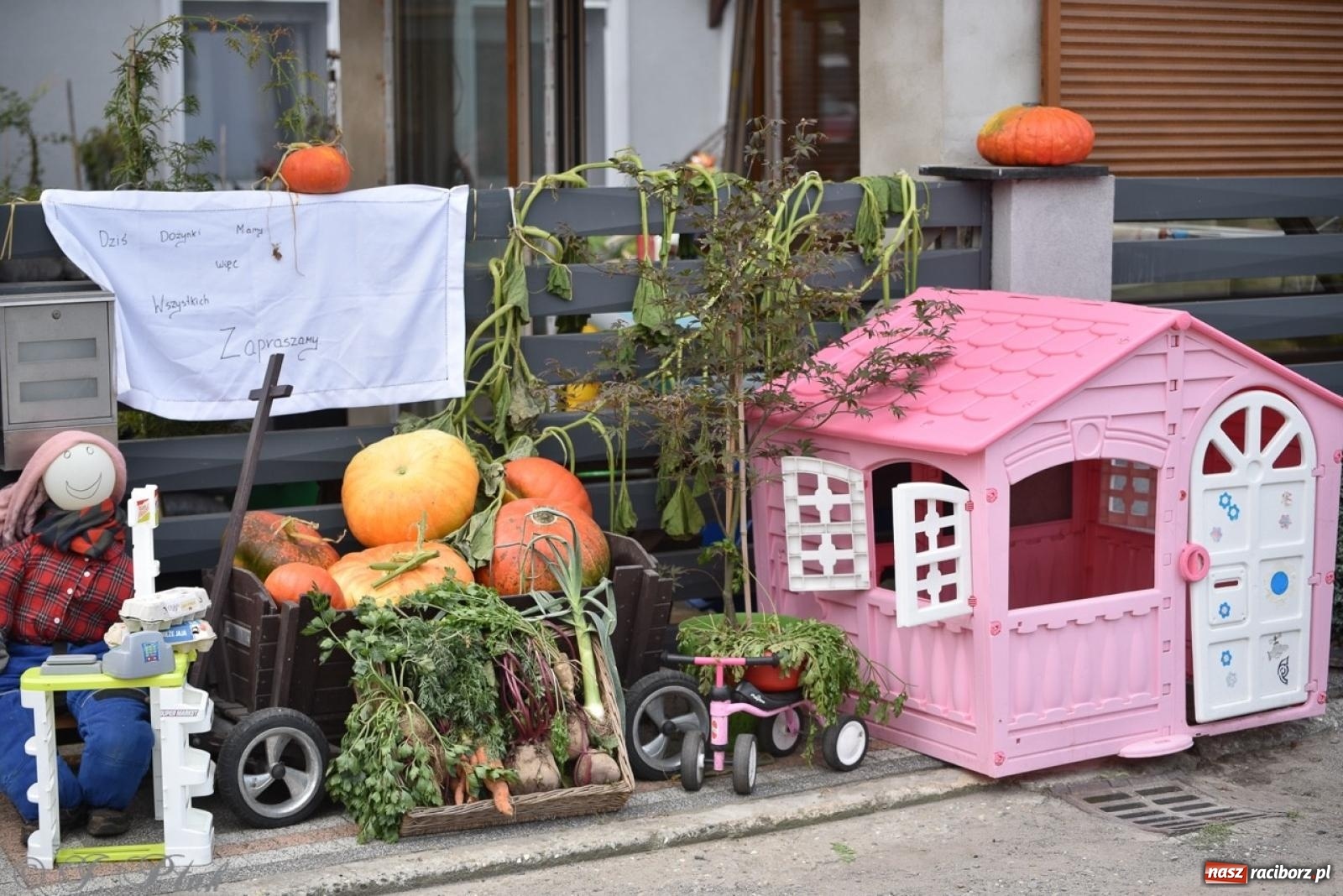 Zdjęcie w galerii na portalu naszraciborz.pl: Pietrowice Wielkie dziękowały za plony [FOTO i WIDEO] wiadomości z regionu