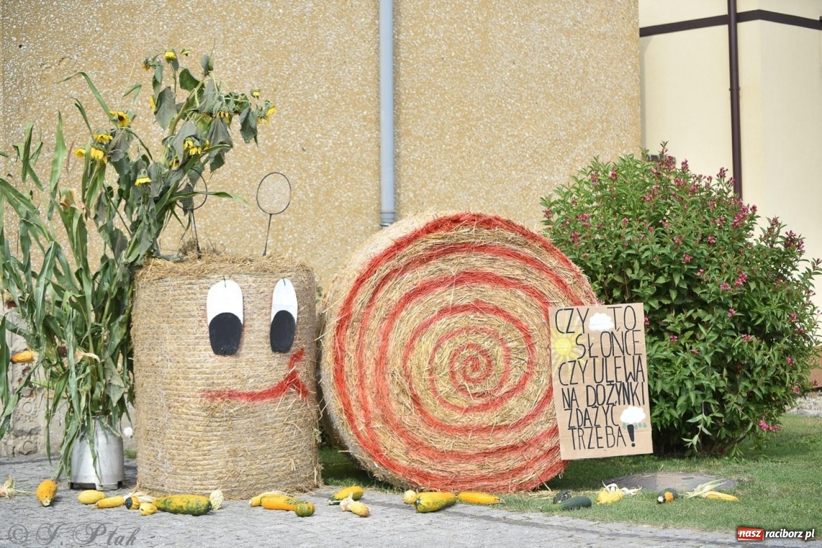 Zdjęcie w galerii na portalu naszraciborz.pl: Pietrowice Wielkie dziękowały za plony [FOTO i WIDEO] wiadomości z regionu