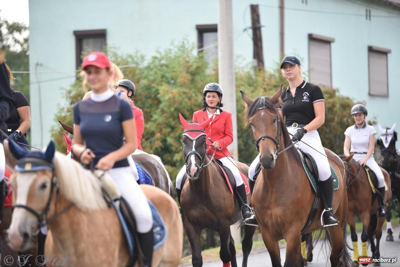 Zdjęcie w galerii na portalu naszraciborz.pl: Pietrowice Wielkie dziękowały za plony [FOTO i WIDEO] wiadomości z regionu