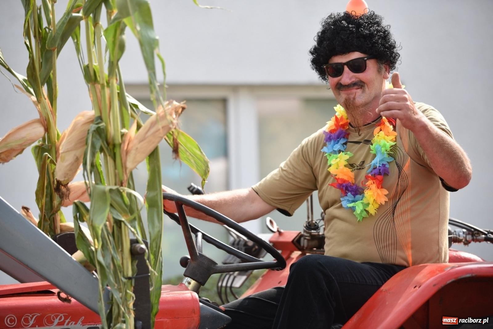 Zdjęcie w galerii na portalu naszraciborz.pl: Pietrowice Wielkie dziękowały za plony [FOTO i WIDEO] wiadomości z regionu