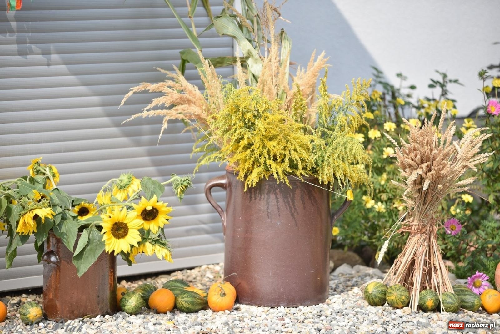 Zdjęcie w galerii na portalu naszraciborz.pl: Pietrowice Wielkie dziękowały za plony [FOTO i WIDEO] wiadomości z regionu