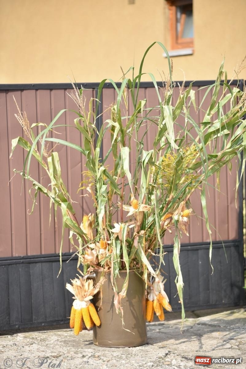 Zdjęcie w galerii na portalu naszraciborz.pl: Pietrowice Wielkie dziękowały za plony [FOTO i WIDEO] wiadomości z regionu