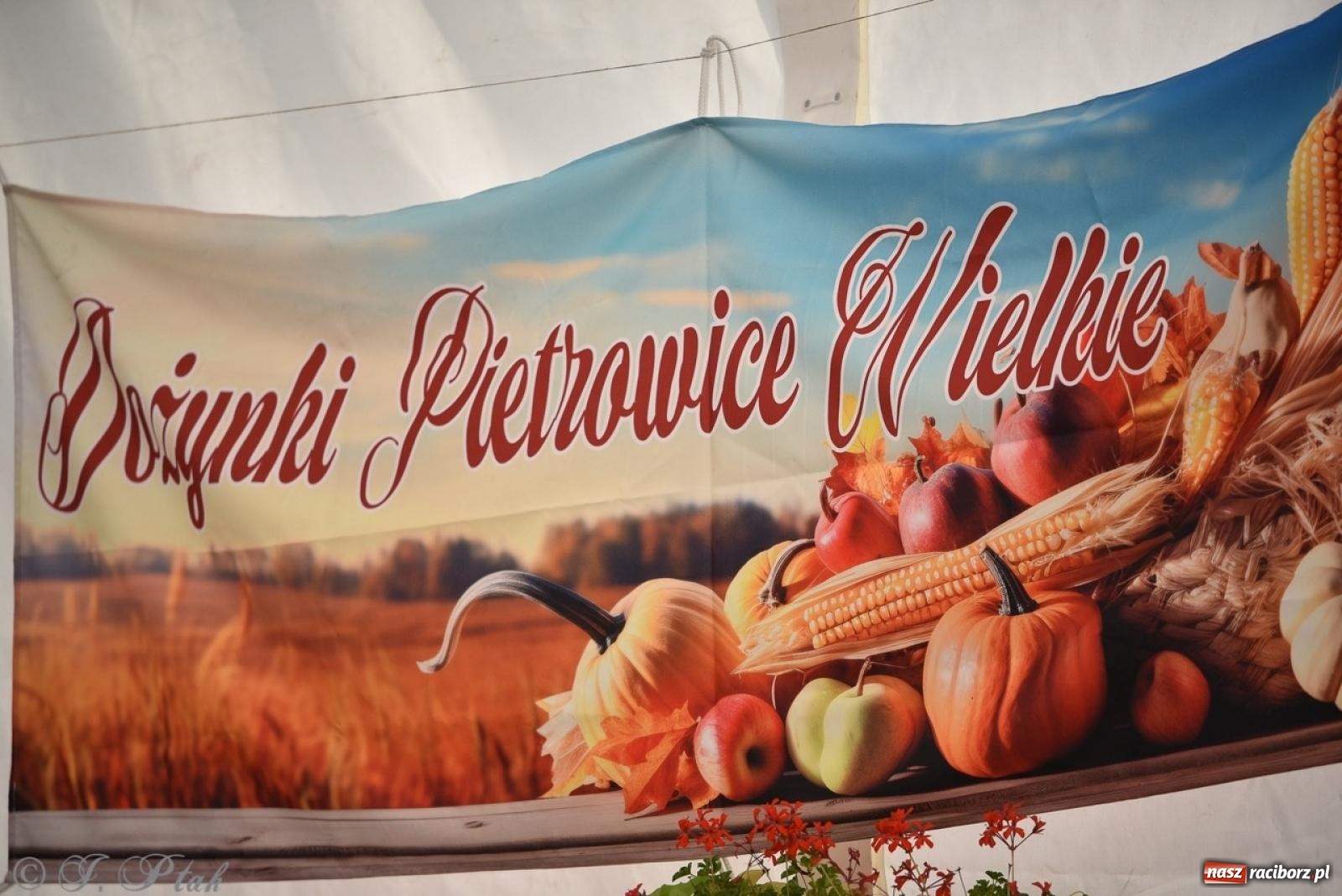 Zdjęcie w galerii na portalu naszraciborz.pl: Pietrowice Wielkie dziękowały za plony [FOTO i WIDEO] wiadomości z regionu