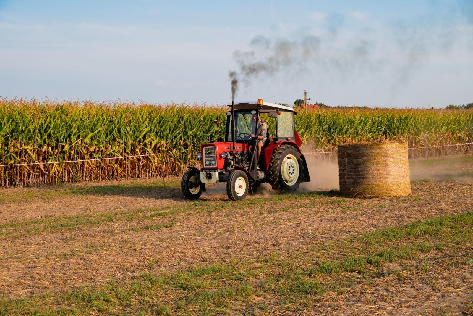 Zdjęcie w galerii na portalu naszraciborz.pl: Zmagania rolniczych potworów w Bolesławiu! Traktory na start podczas dożynek gminnych wiadomości z regionu