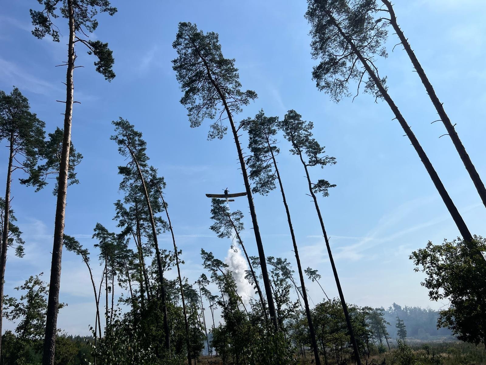 Zdjęcie w galerii na portalu naszraciborz.pl: Pożar lasu w Szymocicach. Spłonęło ponad pół hektara poszycia [FOTO i WIDEO] wiadomości z regionu