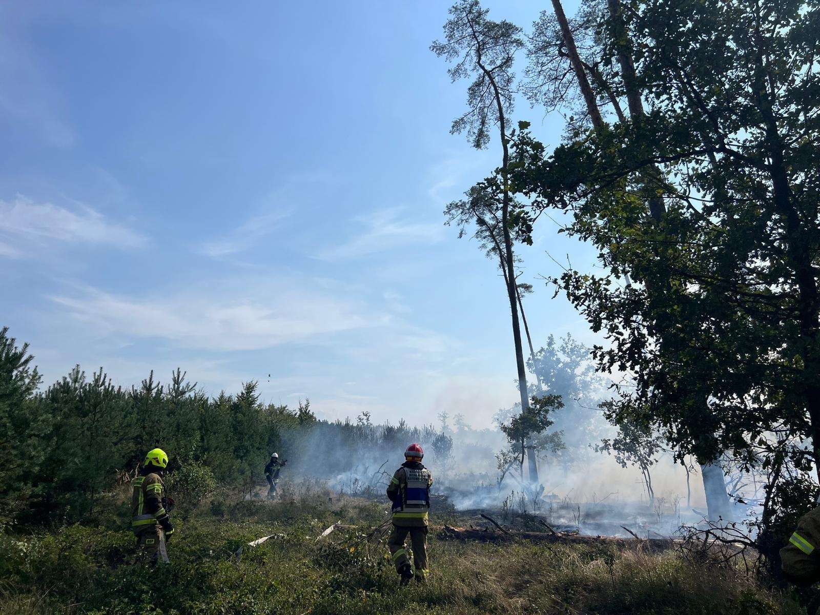 Zdjęcie w galerii na portalu naszraciborz.pl: Pożar lasu w Szymocicach. Spłonęło ponad pół hektara poszycia [FOTO i WIDEO] wiadomości z regionu
