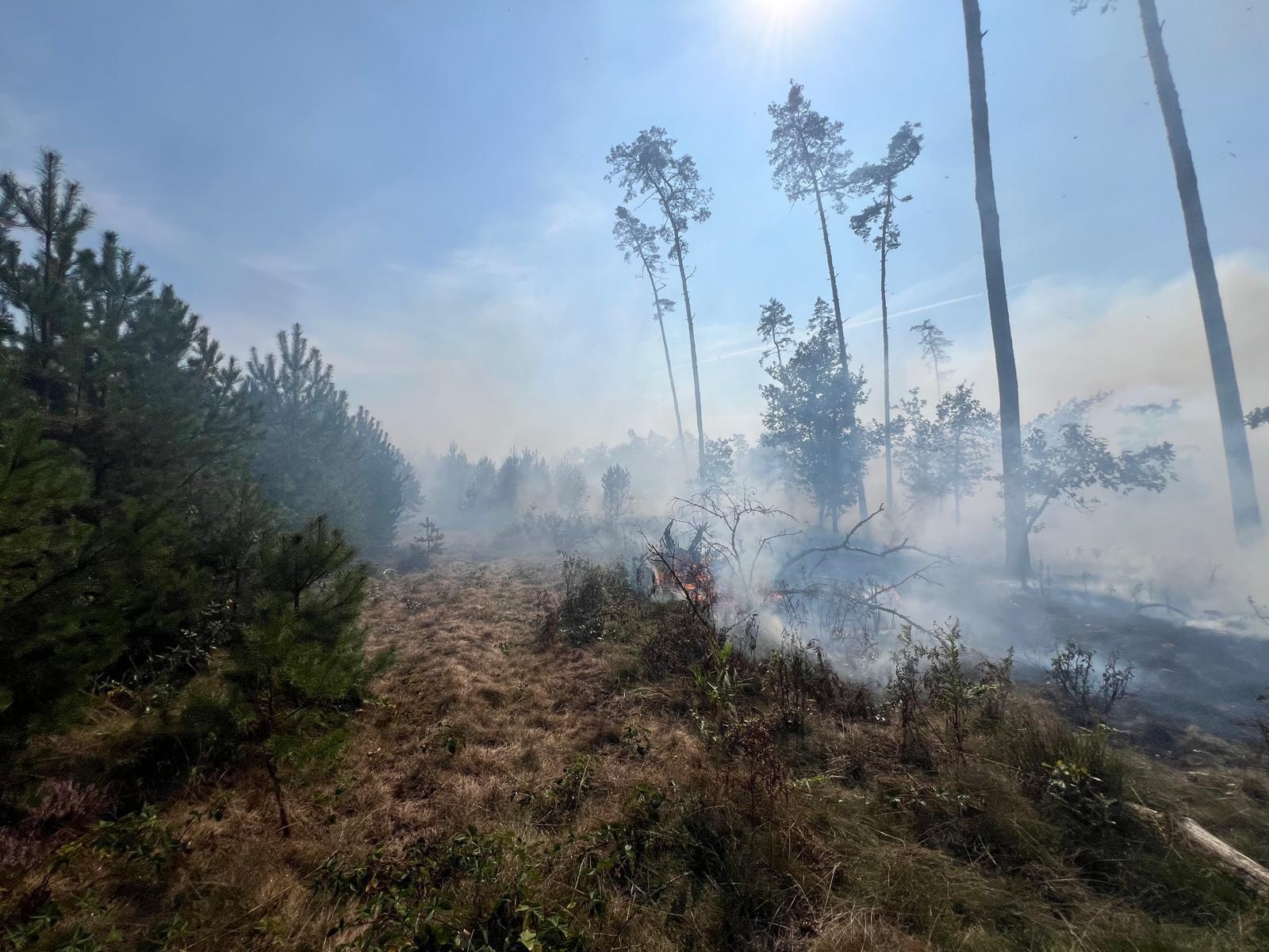 Zdjęcie w galerii na portalu naszraciborz.pl: Pożar lasu w Szymocicach. Spłonęło ponad pół hektara poszycia [FOTO i WIDEO] wiadomości z regionu